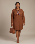 Plus Size Brown Shirt Dress