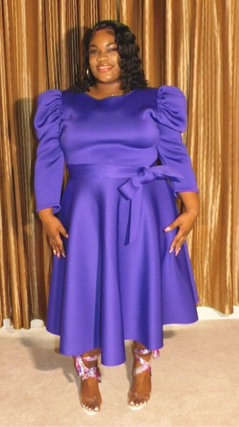 Plus Size Purple Skater Dress - 2407