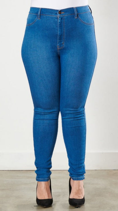 Plus Size High Rise Classic Skinny Jeans